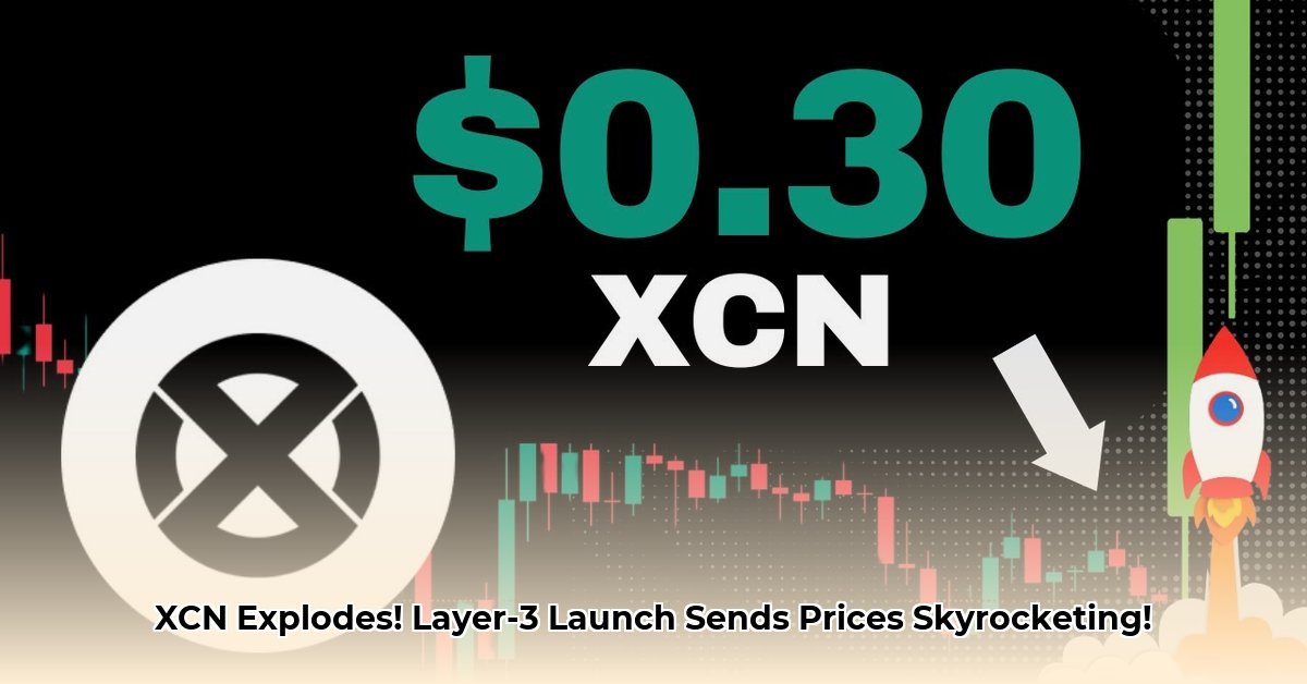 xcn-news